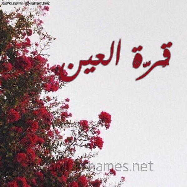 شكل 18 صوره الورد الأحمر للإسم بخط رقعة صورة اسم قُرَّةُ العين QORAHO-ALAIN